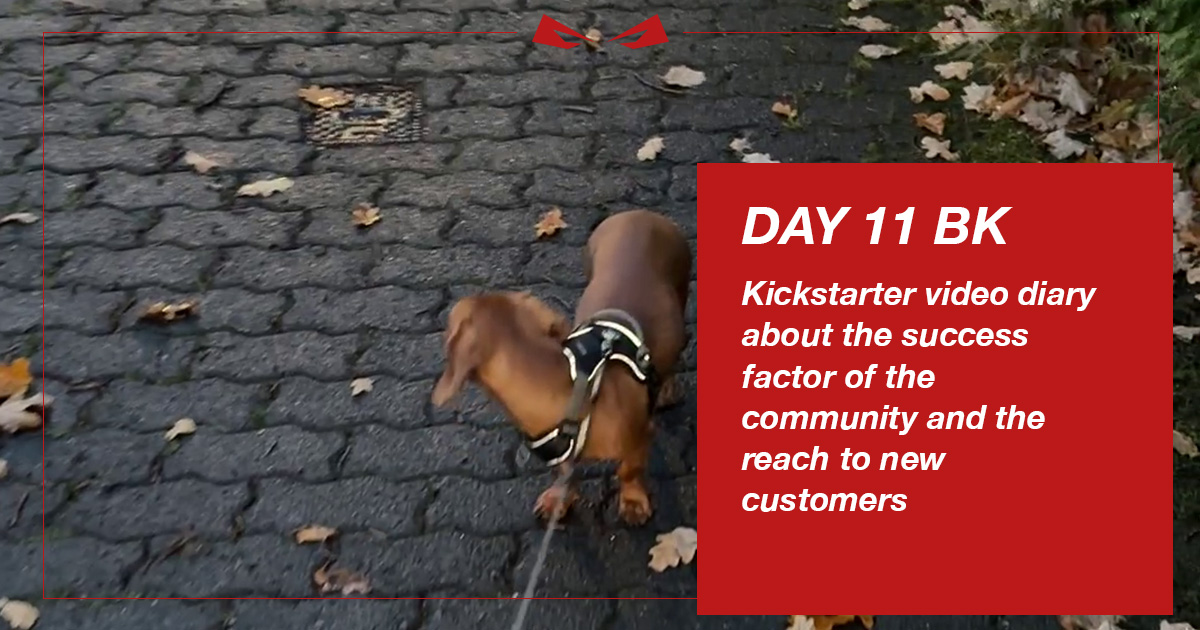 Kickstarter Diary Day 11 BK - Success Factor Kickstarter