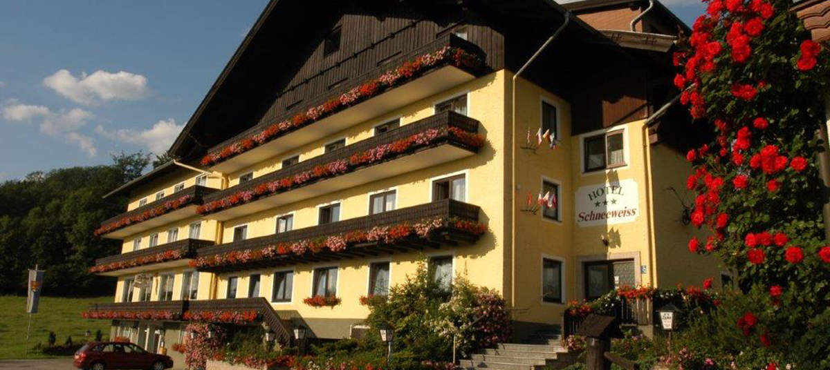 Gast-Hof-Laden Schneeweis, Attersee